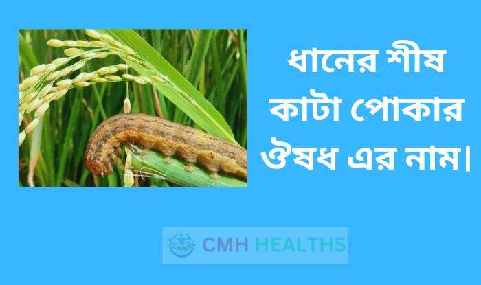 ধানের শীষ কাটা পোকার ঔষধ