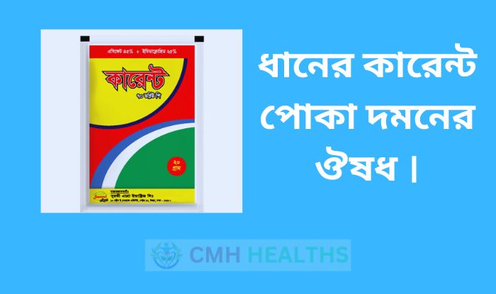 ধানের কারেন্ট পোকা দমনের ঔষধ