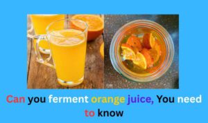 Can you ferment orange juice